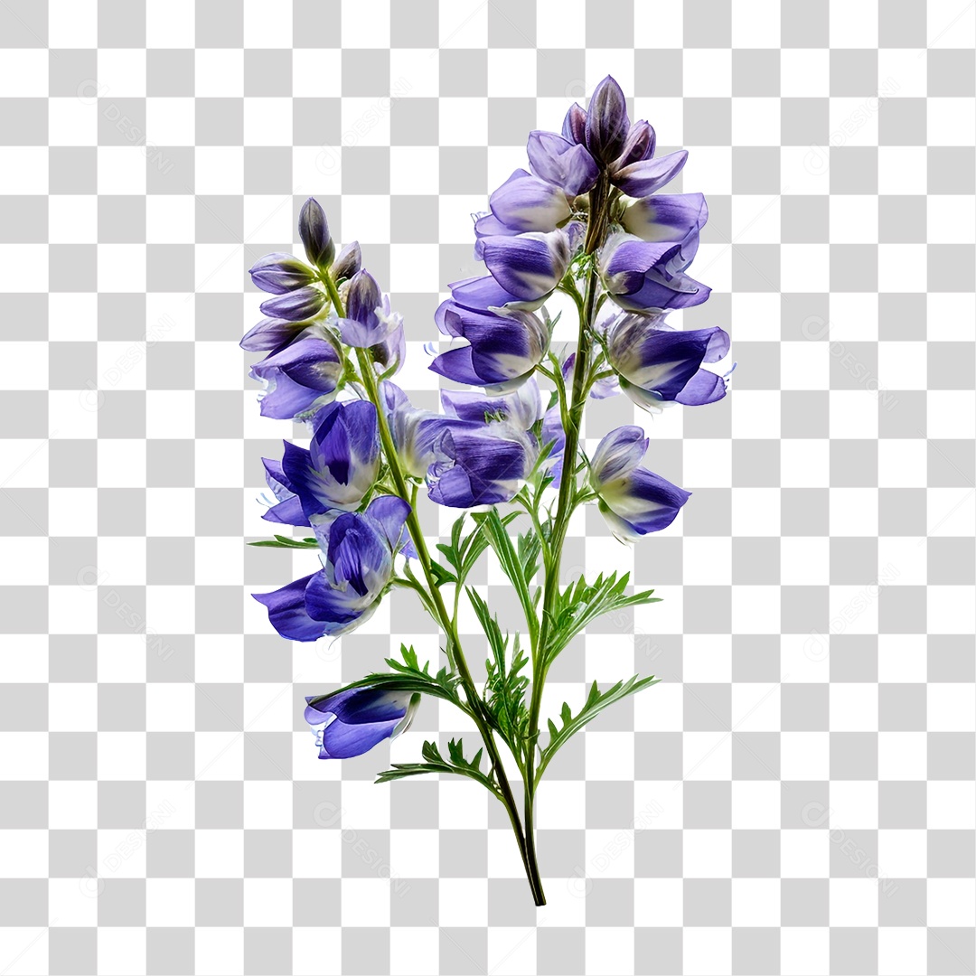 Flor de Sino PNG Transparente