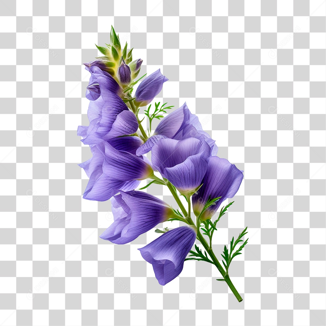 Flor de Sino PNG Transparente