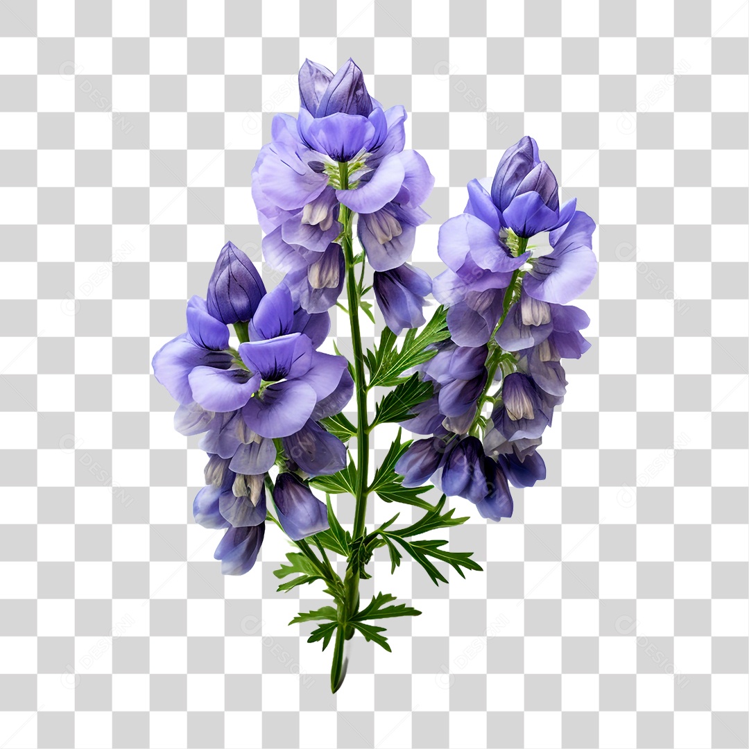 Flor de Sino PNG Transparente