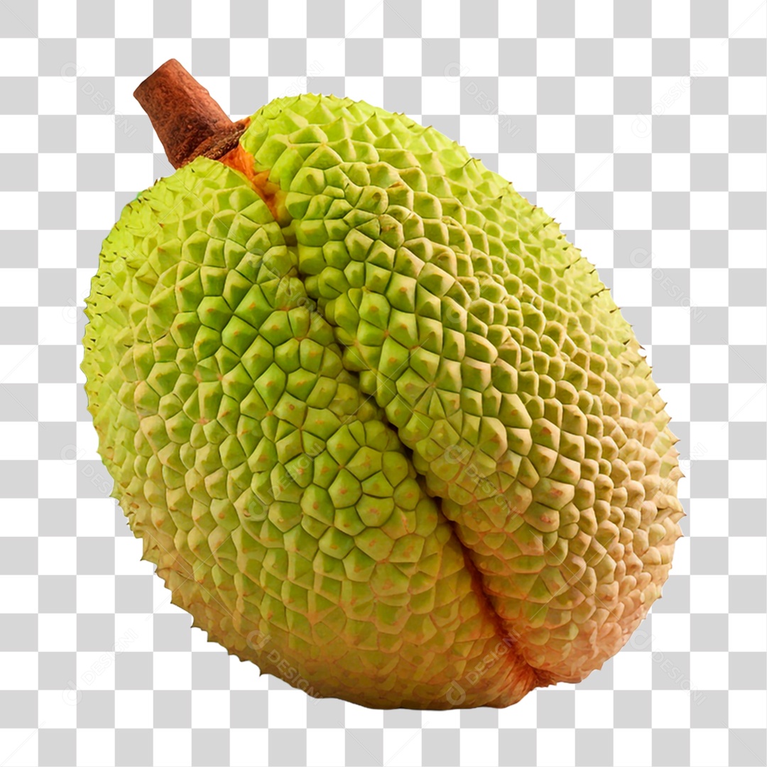 Durião Maduro PNG Transparente