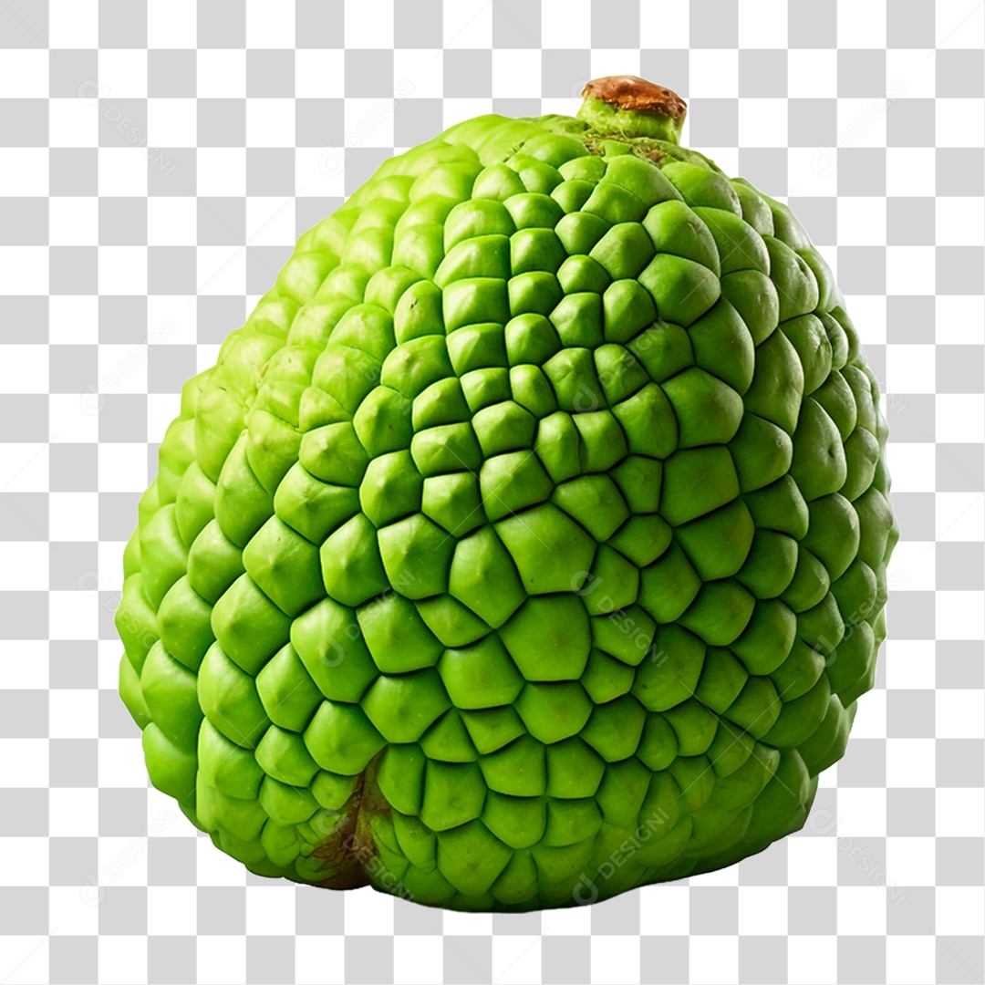 Durião Verde PNG Transparente