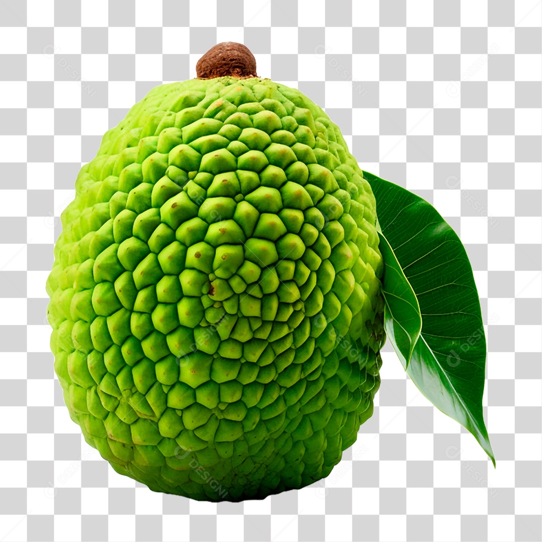 Durião Maduro PNG Transparente