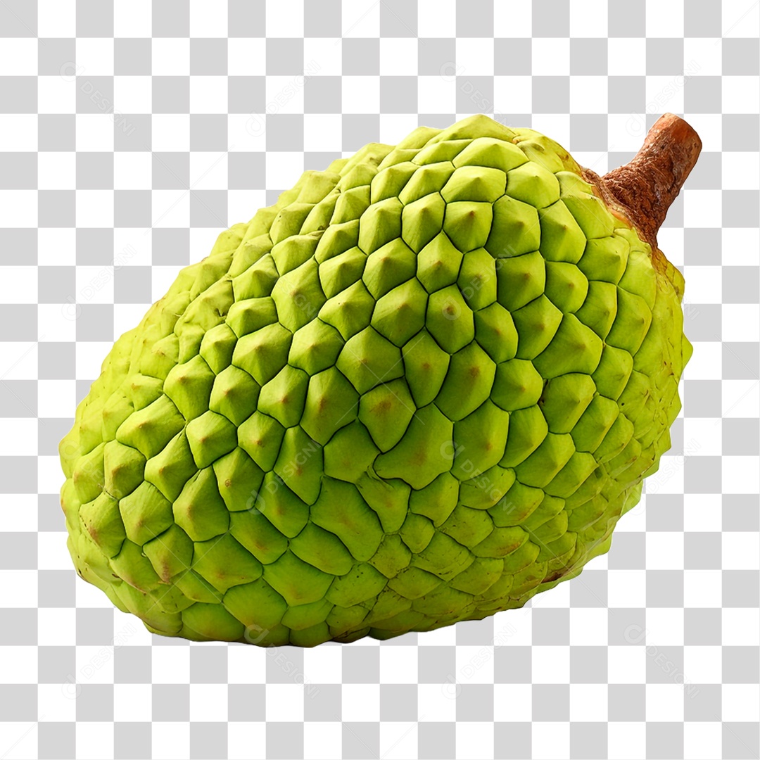 Jaca Verde PNG Transparente