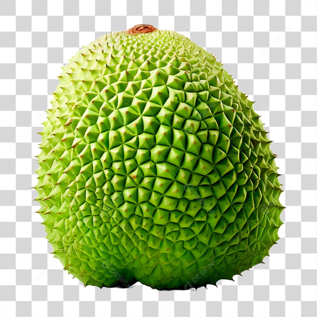 Durião Maduro PNG Transparente