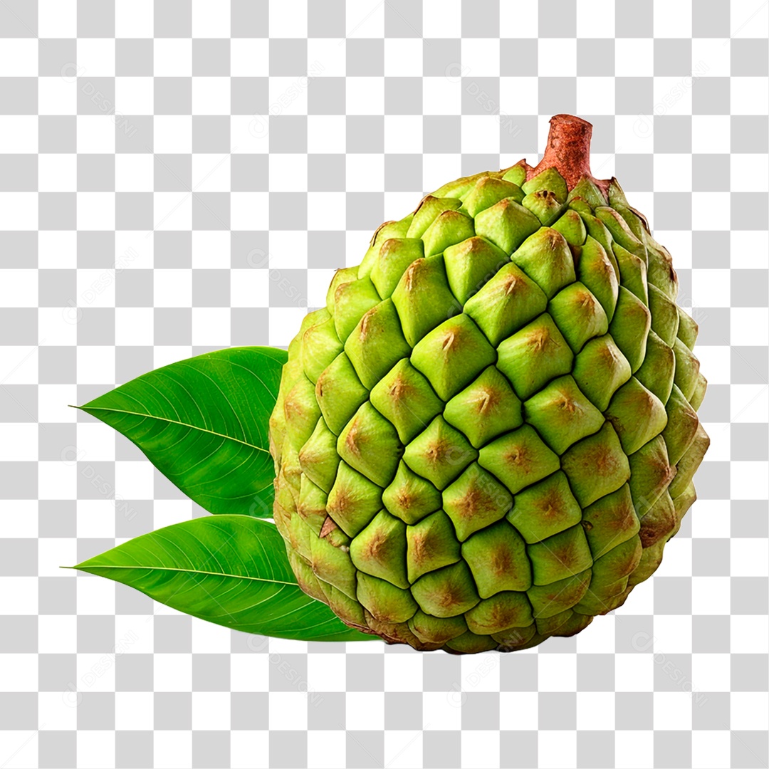 Durião Maduro PNG Transparente