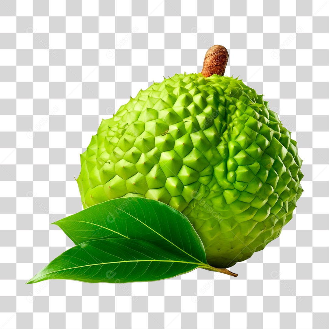 Durião Verde PNG Transparente