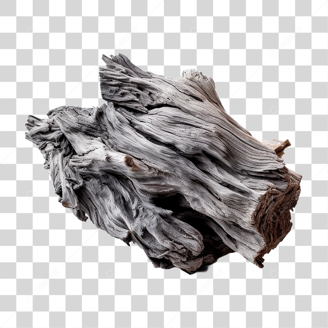 Tronco de Árvore PNG Transparente