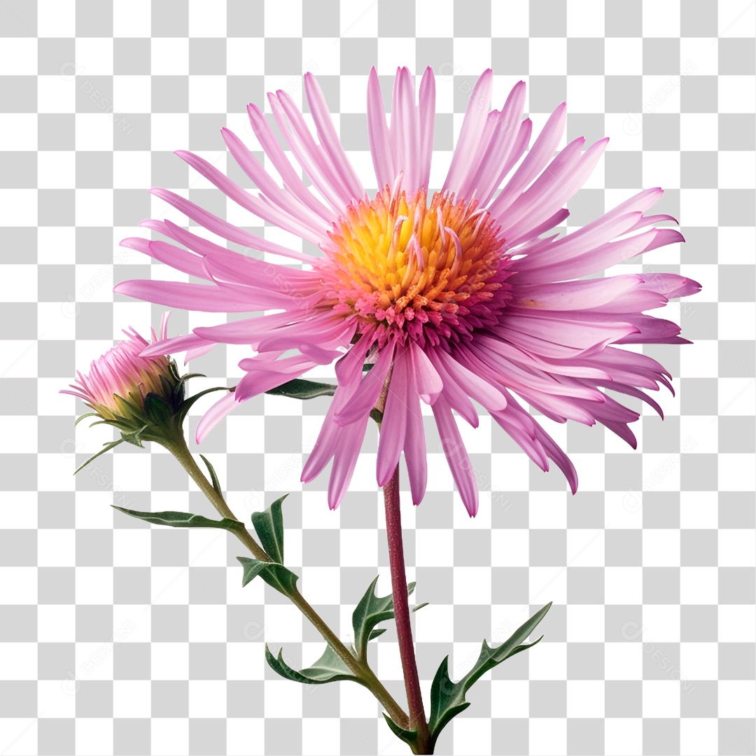 Flor Rosa PNG Transparente