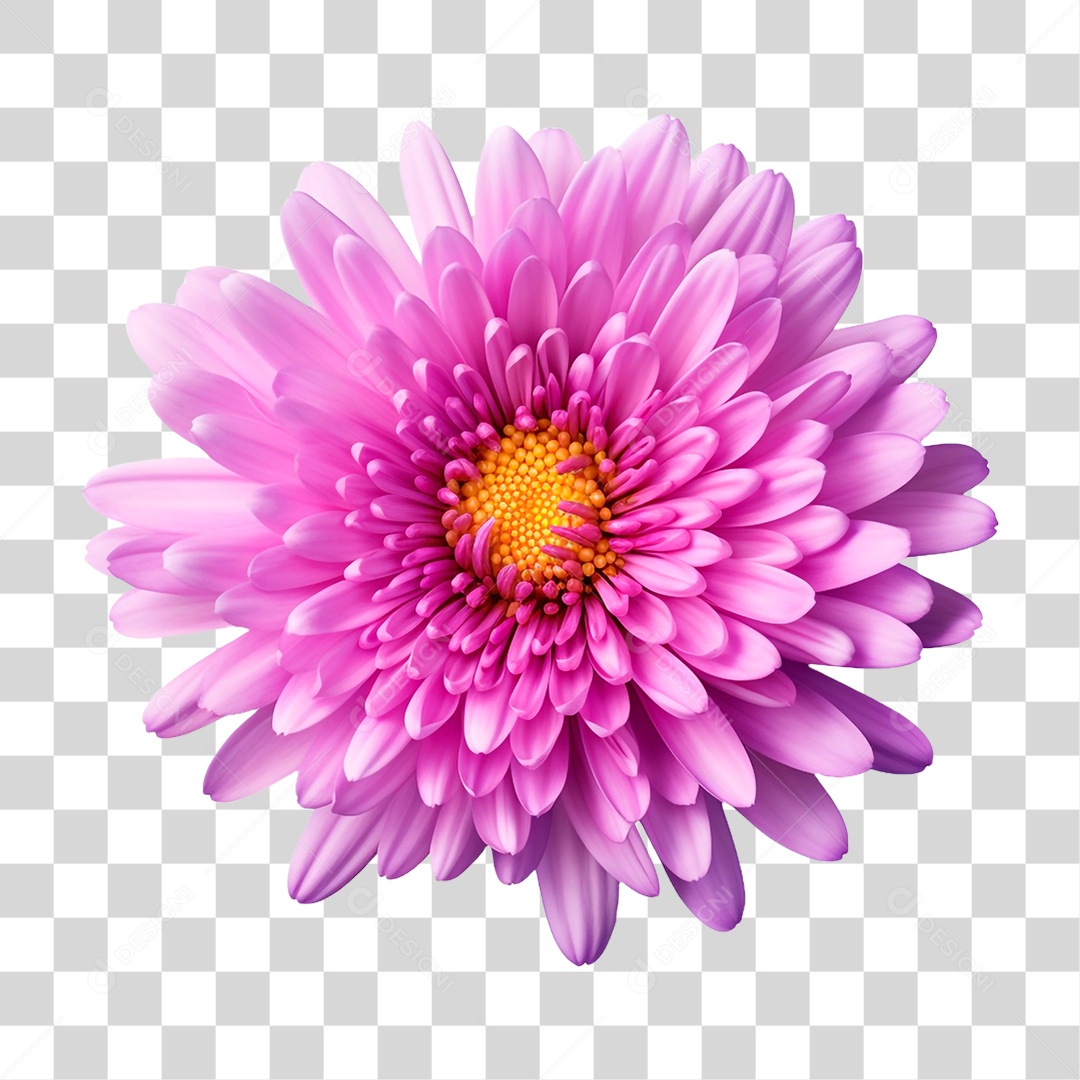 Flor Ornamental PNG Transparente