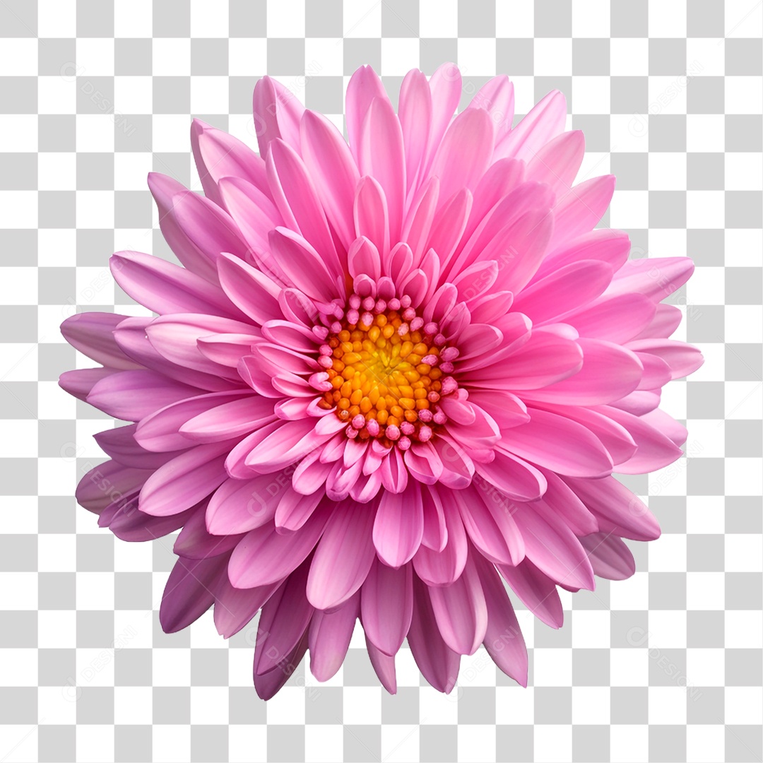 Flor Rosa PNG Transparente