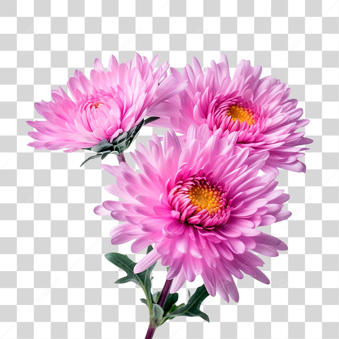 Flores Ornamentais PNG Transparente