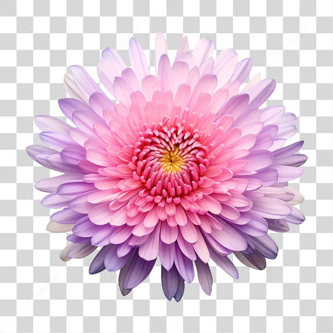 Flor Ornamental PNG Transparente