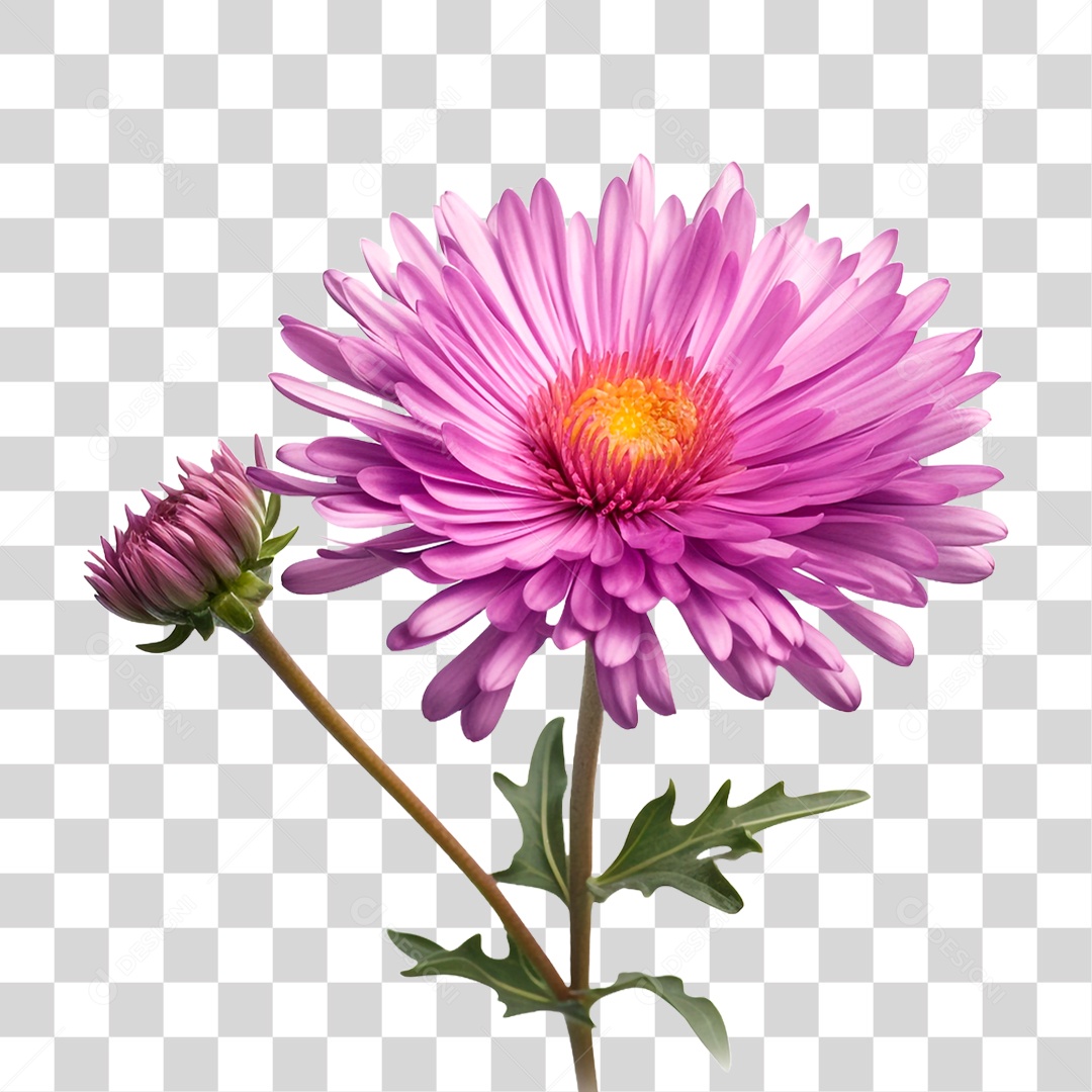 Flor Rosa PNG Transparente