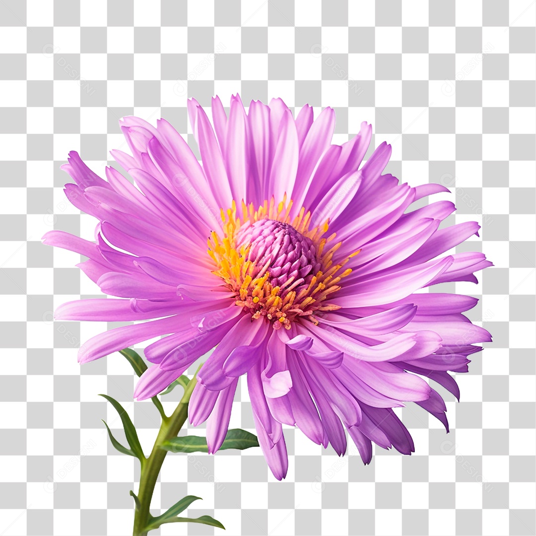 Flor Rosa PNG Transparente