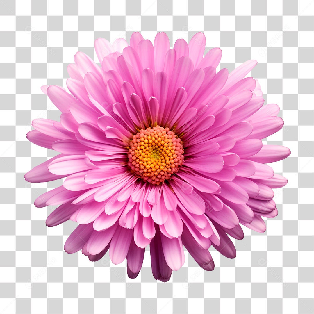 Flor Rosa PNG Transparente