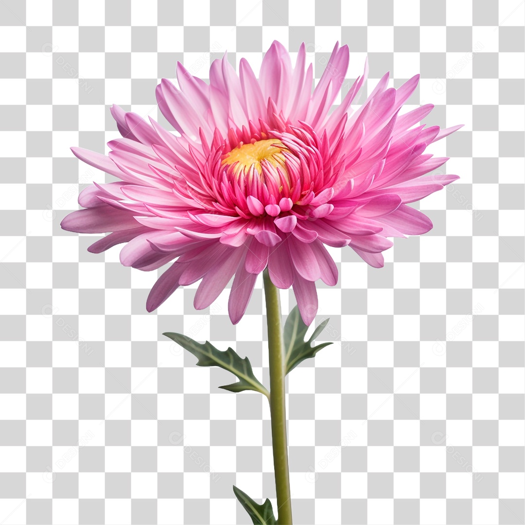 Flor Rosa PNG Transparente