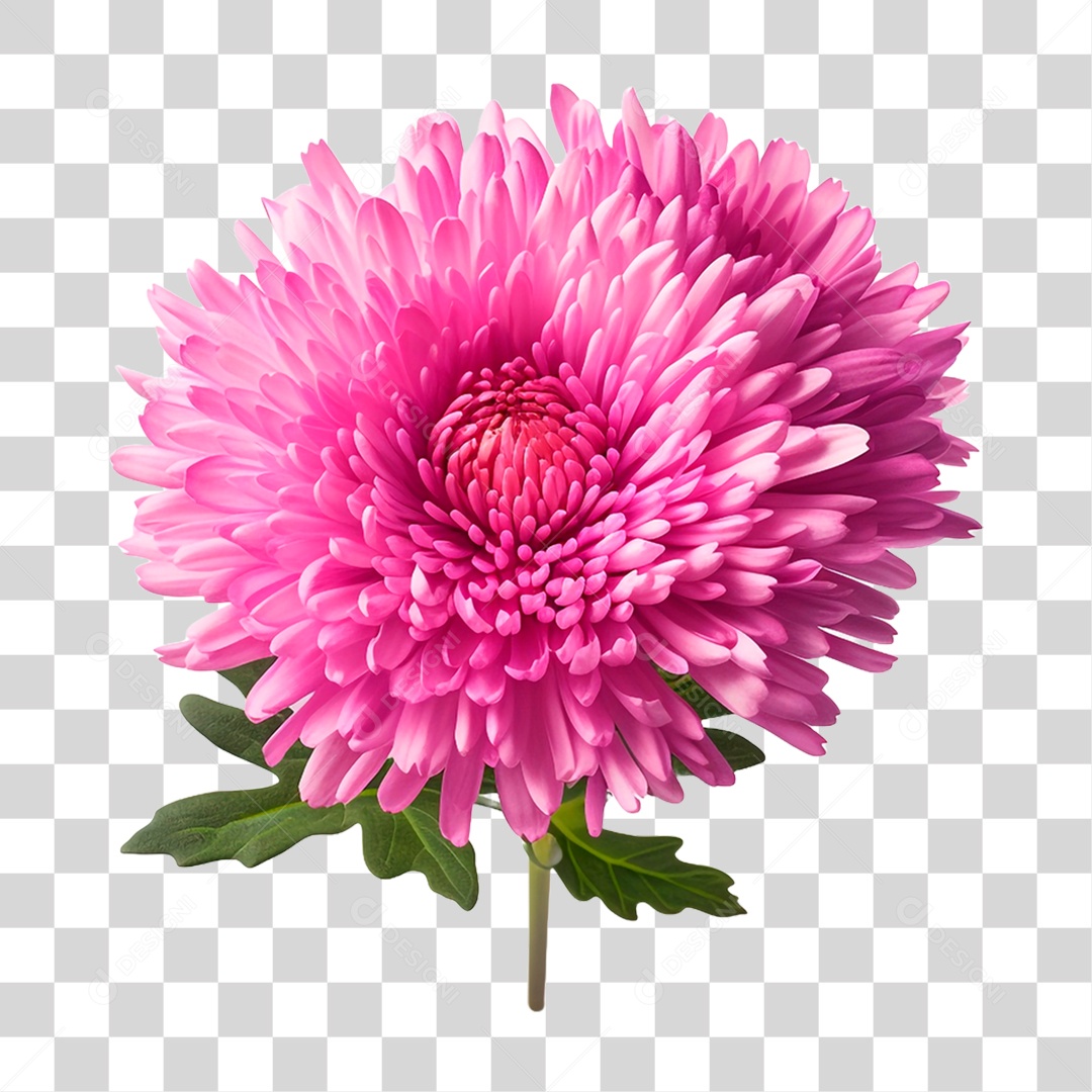 Flor Ornamental PNG Transparente