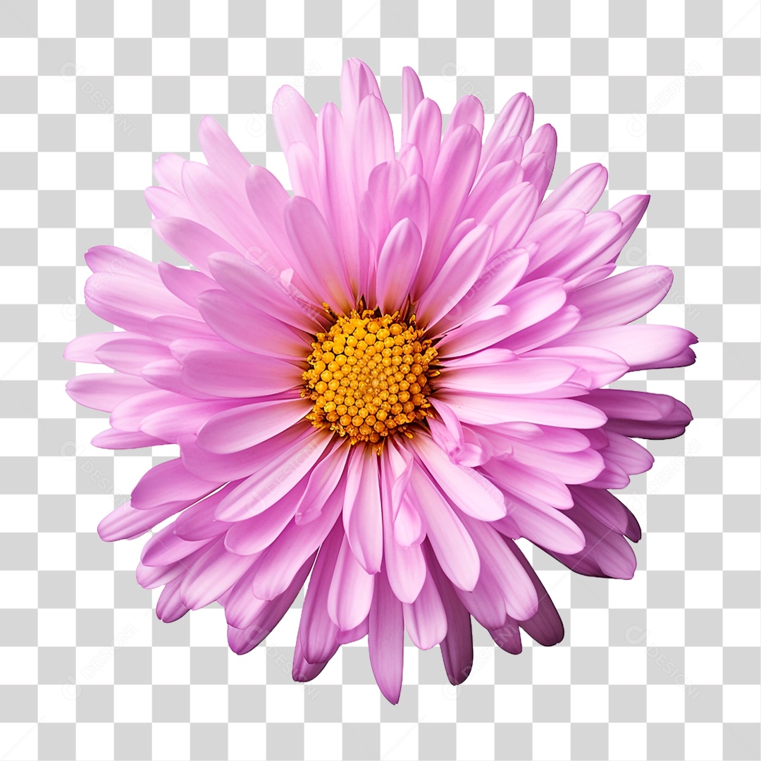 Flor Ornamental PNG Transparente