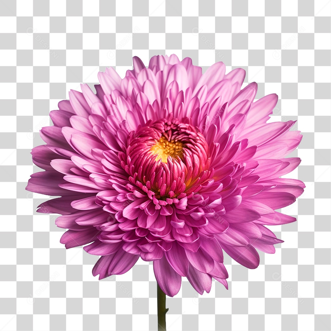 Flor Ornamental PNG Transparente