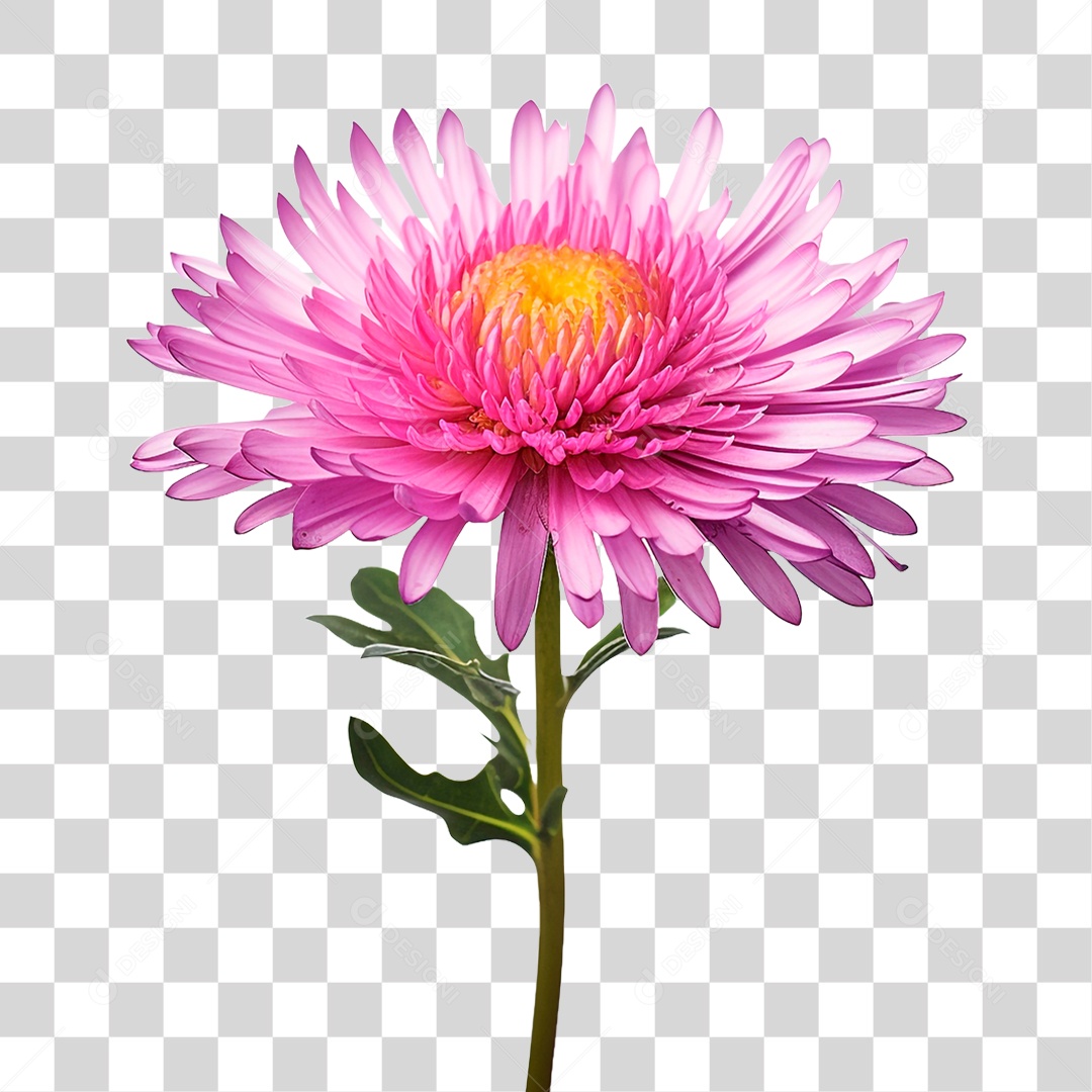 Flor Ornamental PNG Transparente