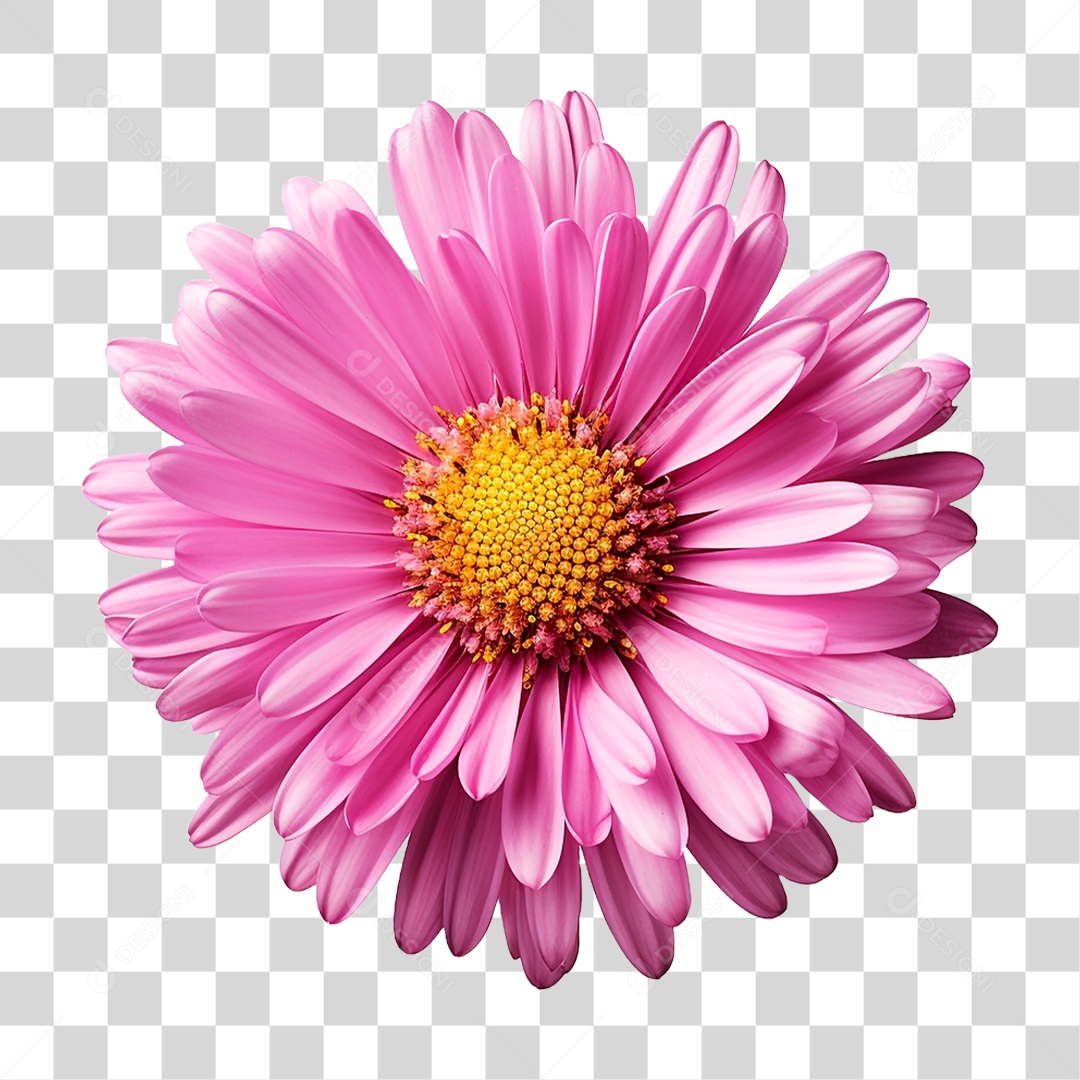 Flor Ornamental PNG Transparente