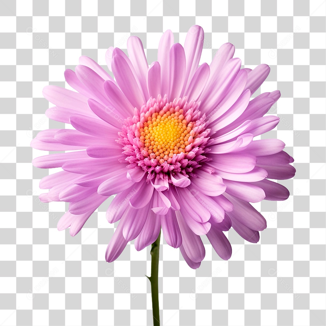 Flor Ornamental PNG Transparente