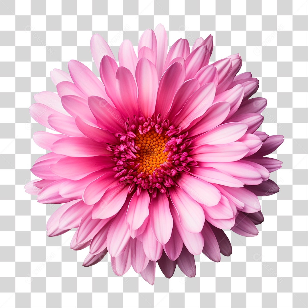 Flor Ornamental PNG Transparente