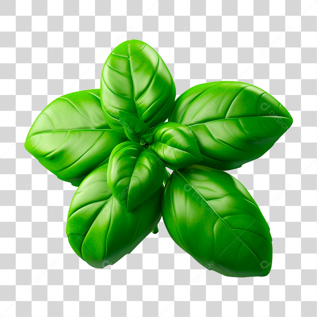 Folhas de Manjericão PNG Transparente