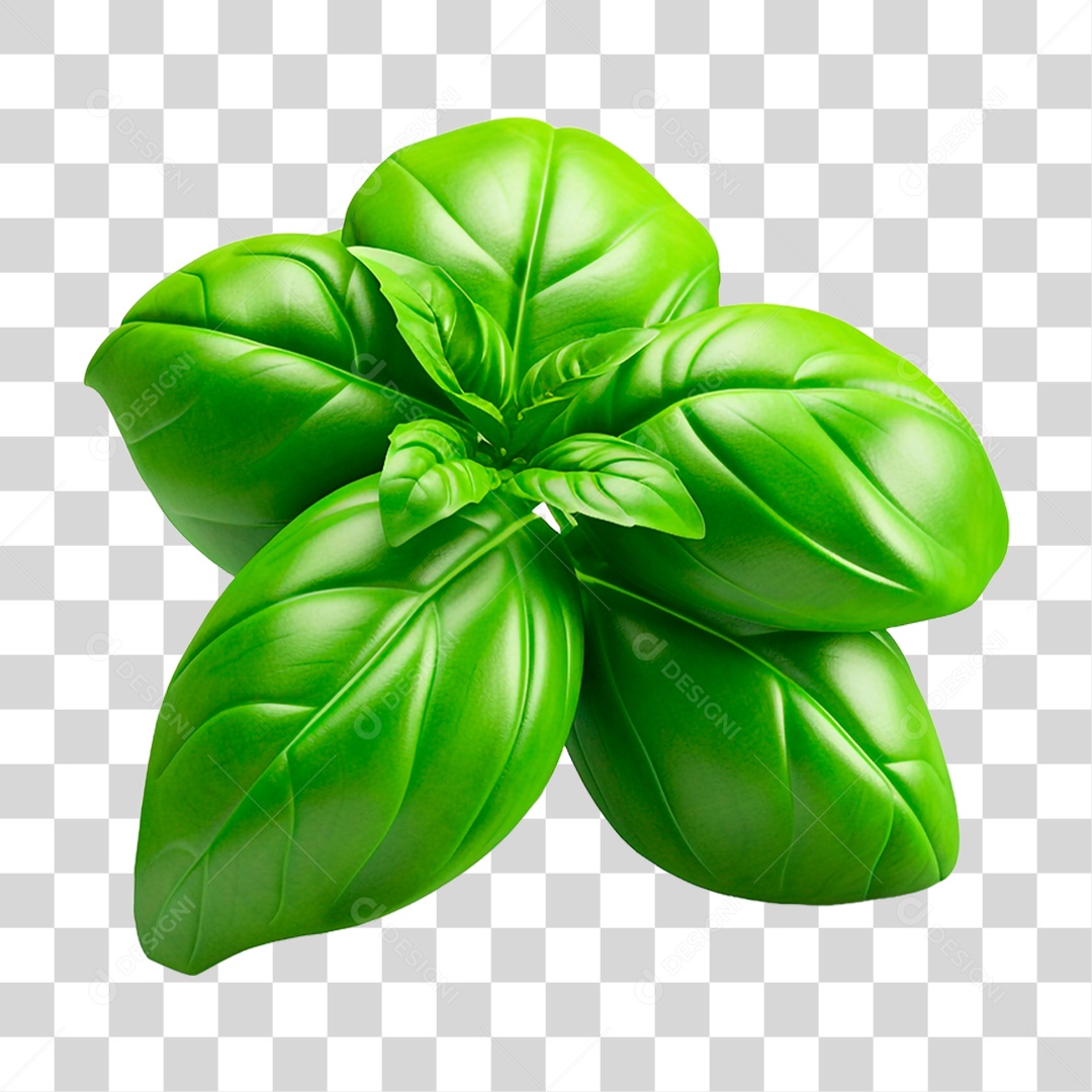 Folhas de Manjericão PNG Transparente