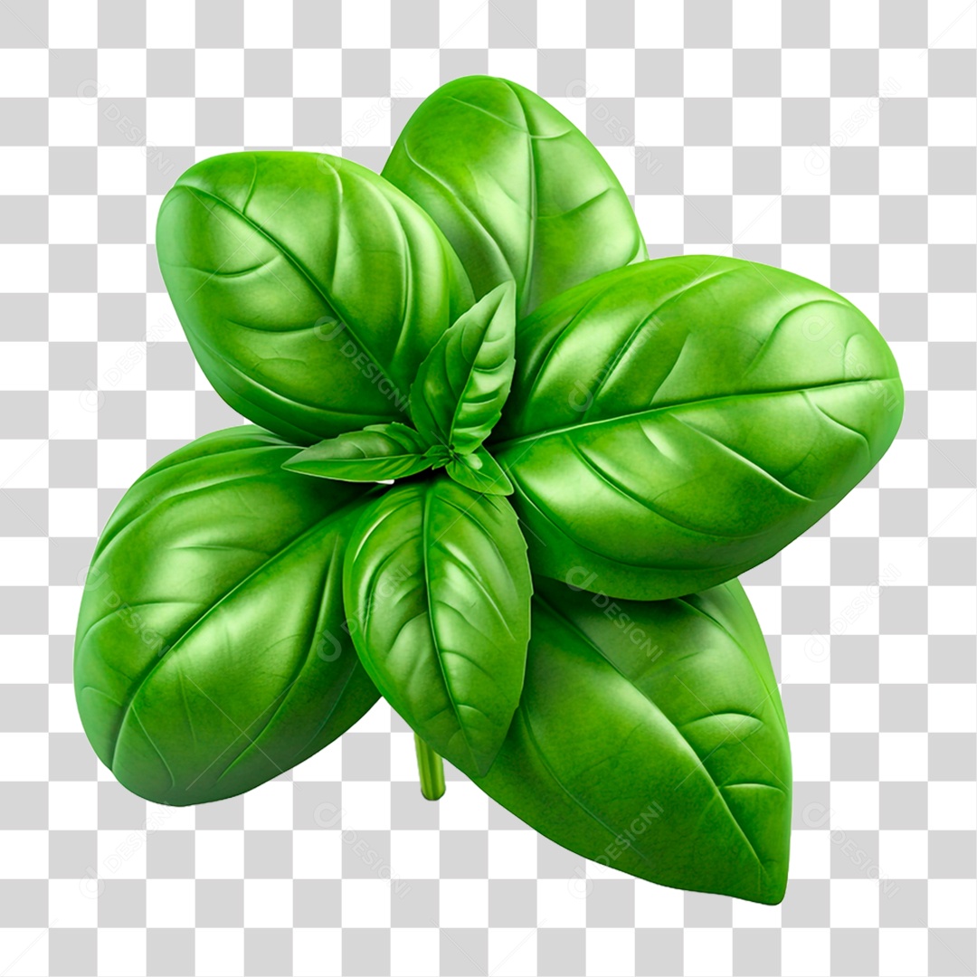 Folhas de Manjericão PNG Transparente