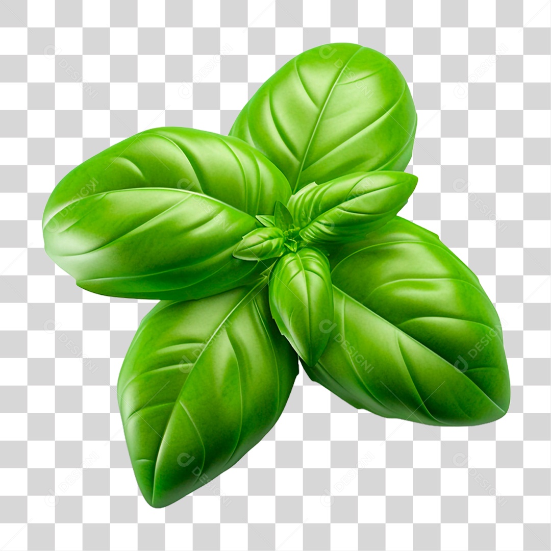 Folhas de Manjericão PNG Transparente