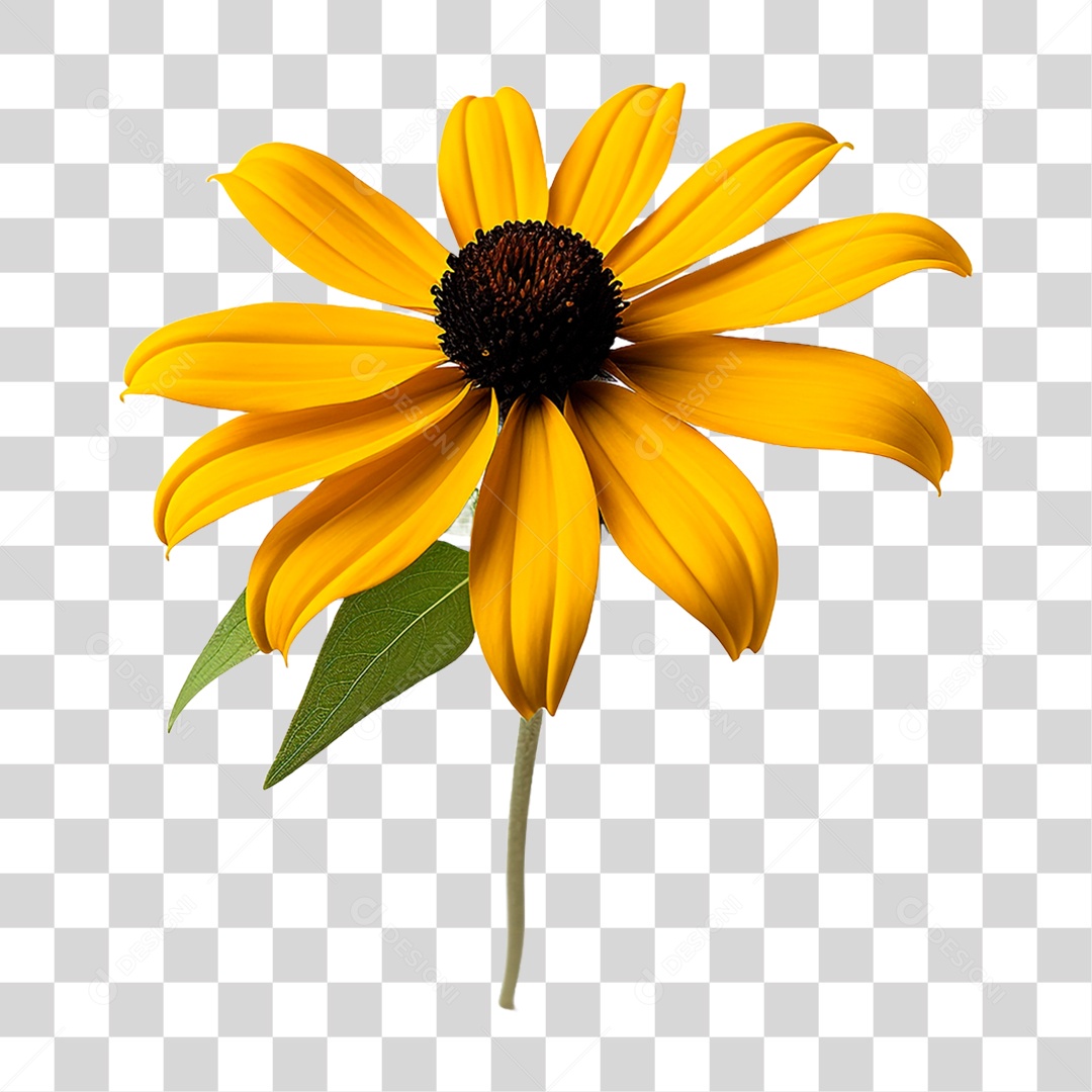 Flor Girassol PNG Transparente