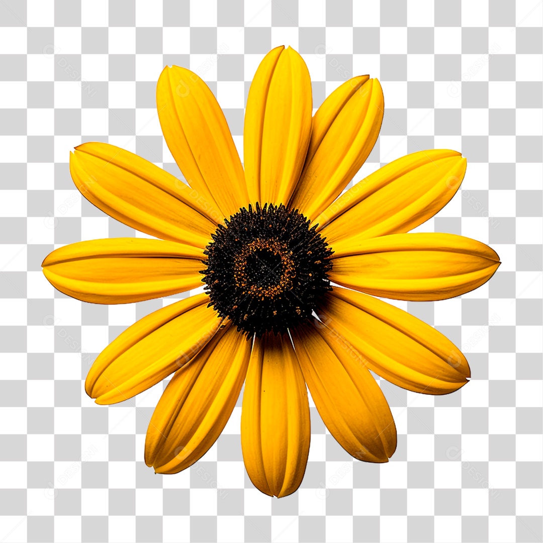 Flor Girassol PNG Transparente