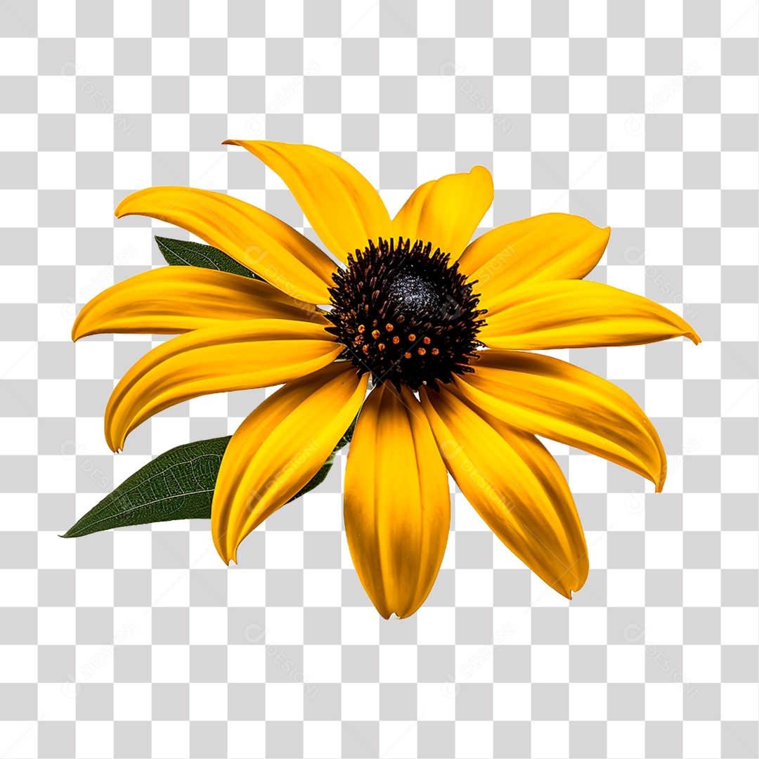 Flor Girassol PNG Transparente