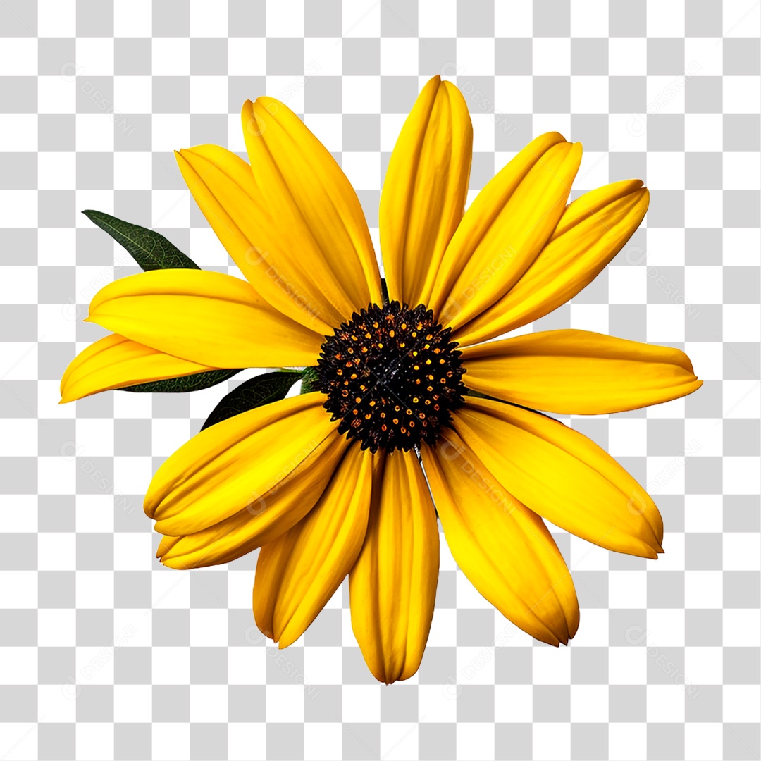 Flor Girassol PNG Transparente