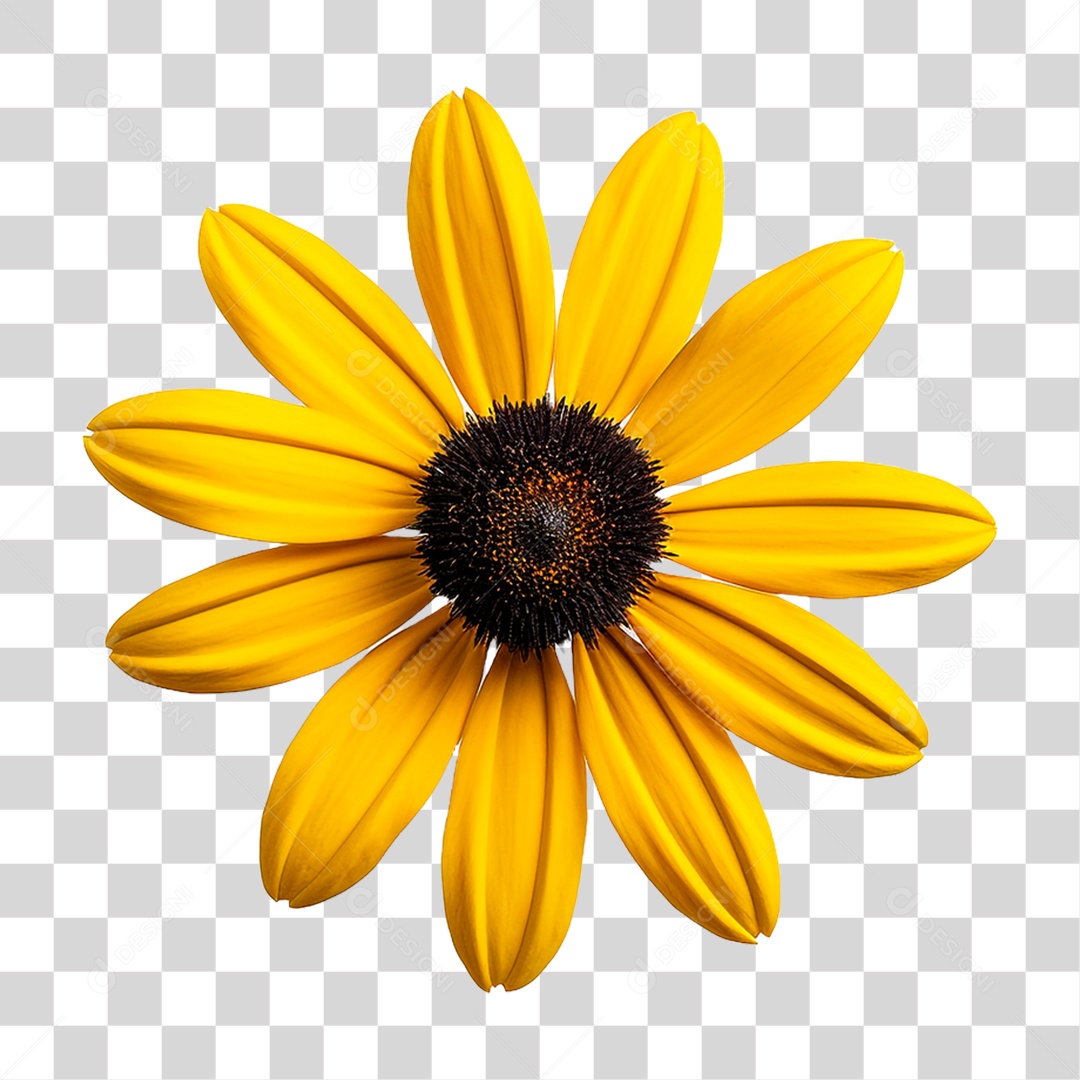 Planta Girassol PNG Transparente