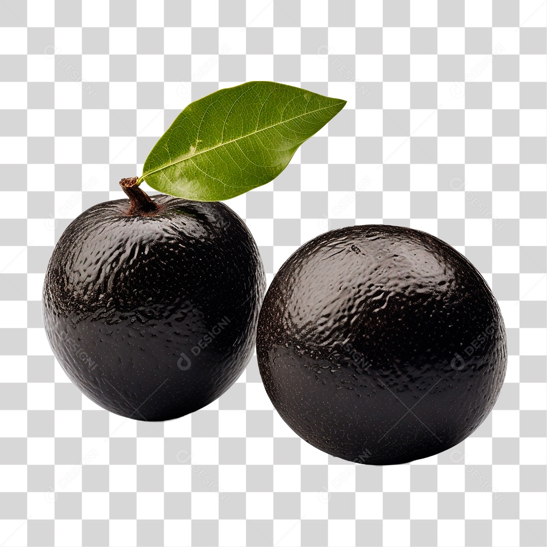 Laranja Podre PNG Transparente