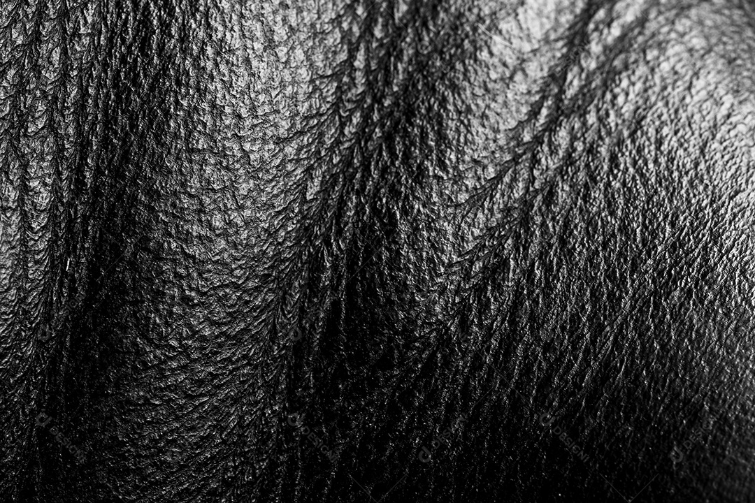 Textura de couro de vaca preta de luxo
