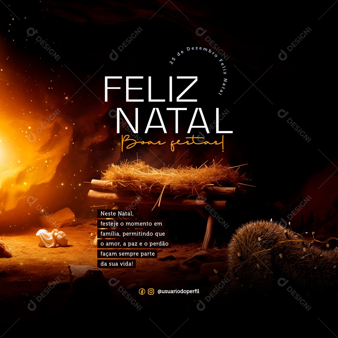 Feliz Natal Boas Festas 25 De Dezembro Social Media PSD Editável