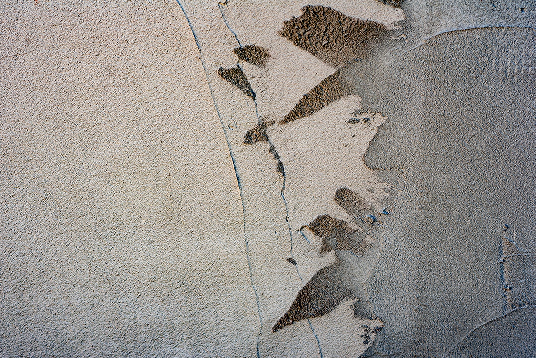 Textura, madeira, parede, pode ser usada como fundo. Textura de madeira com arranhões e rachaduras