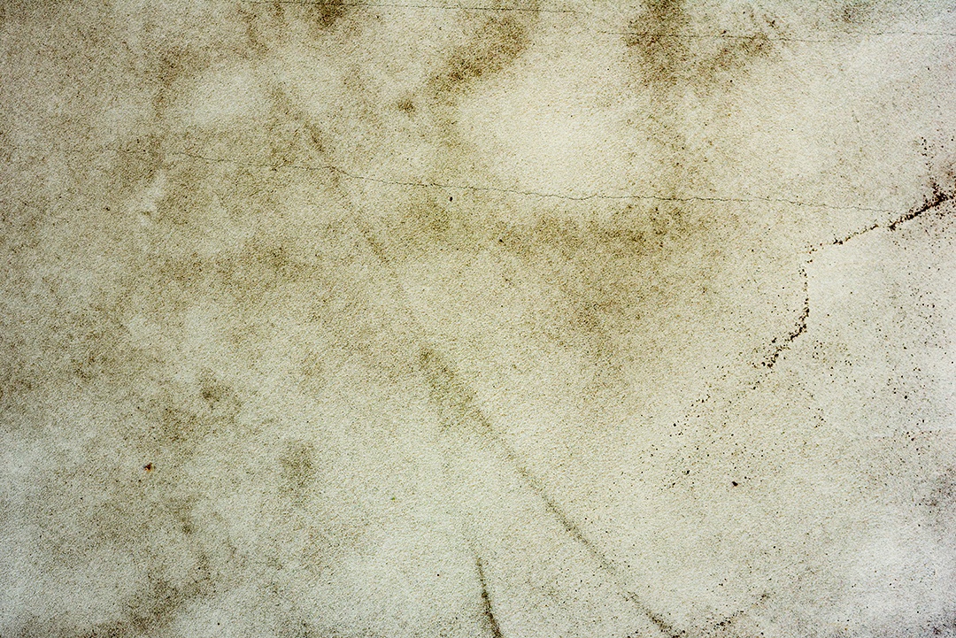 Textura, madeira, parede, pode ser usada como fundo. Textura de madeira com arranhões e rachaduras