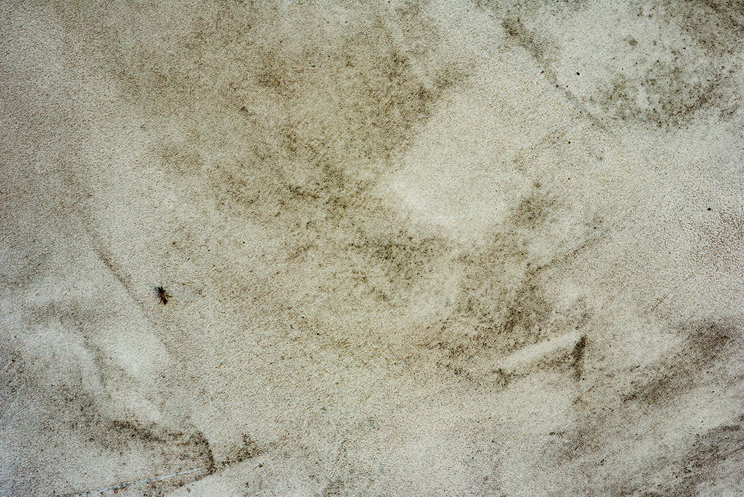 Textura, madeira, parede, pode ser usada como fundo. Textura de madeira com arranhões e rachaduras