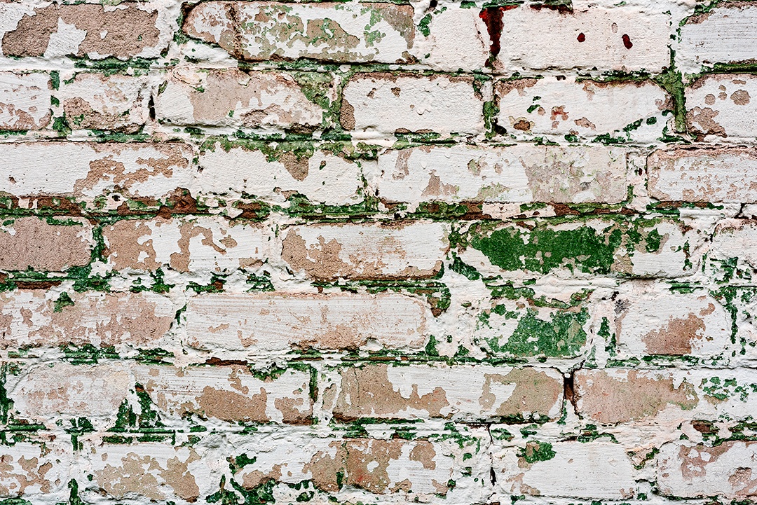 Textura, madeira, parede, pode ser usada como fundo. Textura de madeira com arranhões e rachaduras