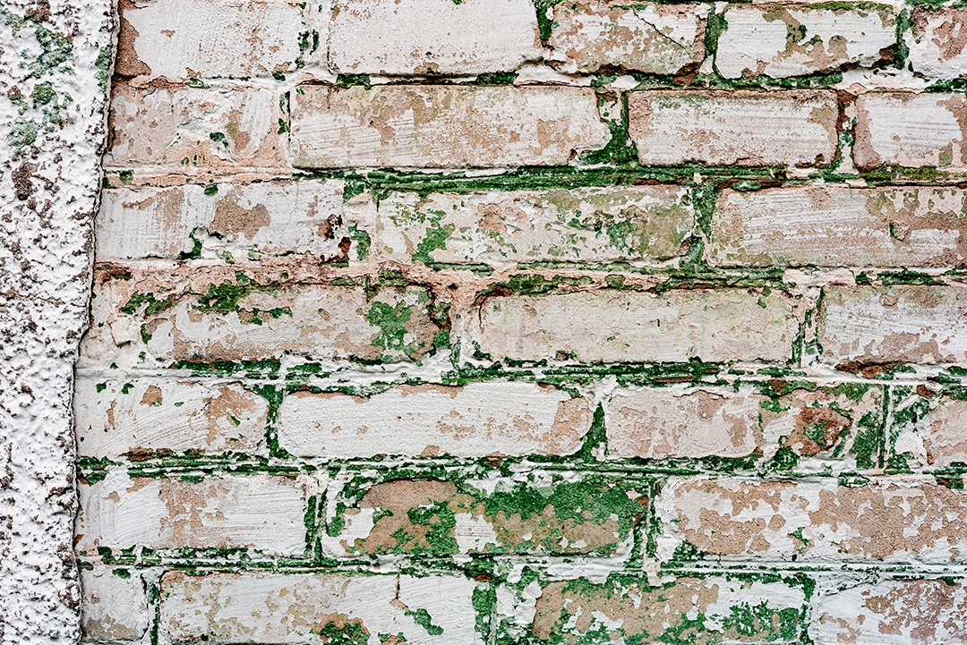 Textura, madeira, parede, pode ser usada como fundo. Textura de madeira com arranhões e rachaduras