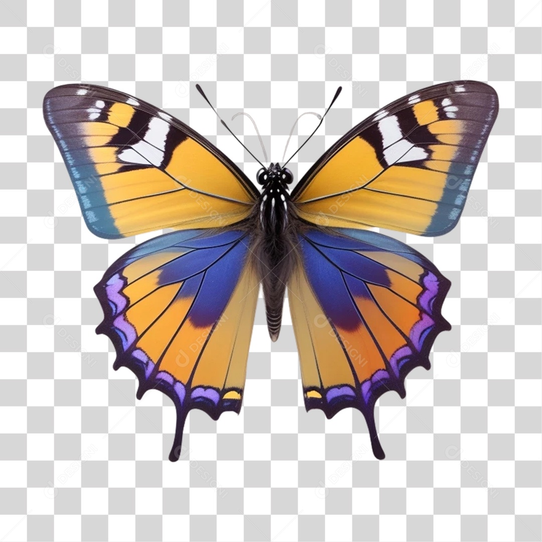 Borboleta Colorida PNG Transparente