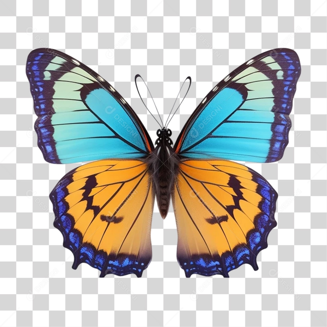 Borboleta Colorida PNG Transparente