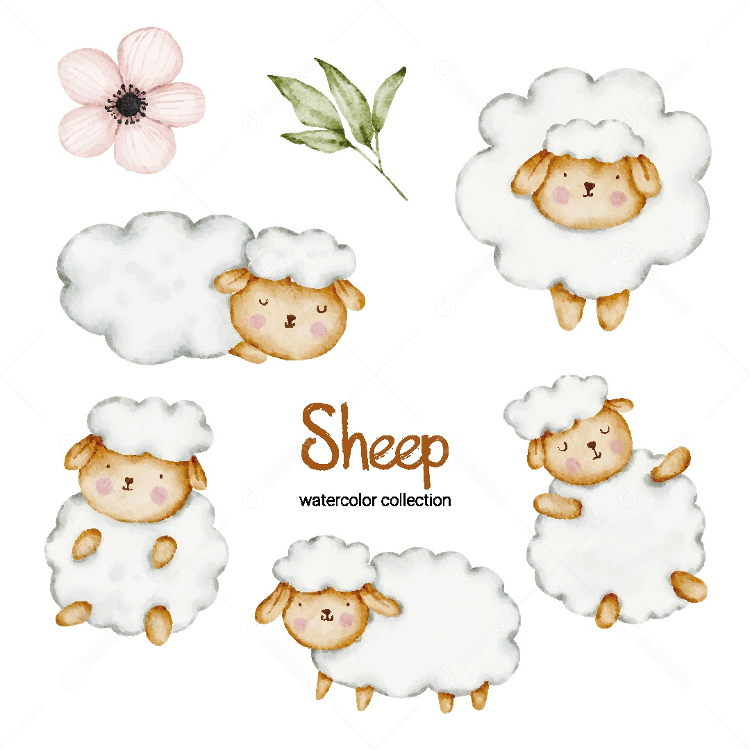 Coleção de Aquarela de Ovelhas Ilustração Vetor EPS