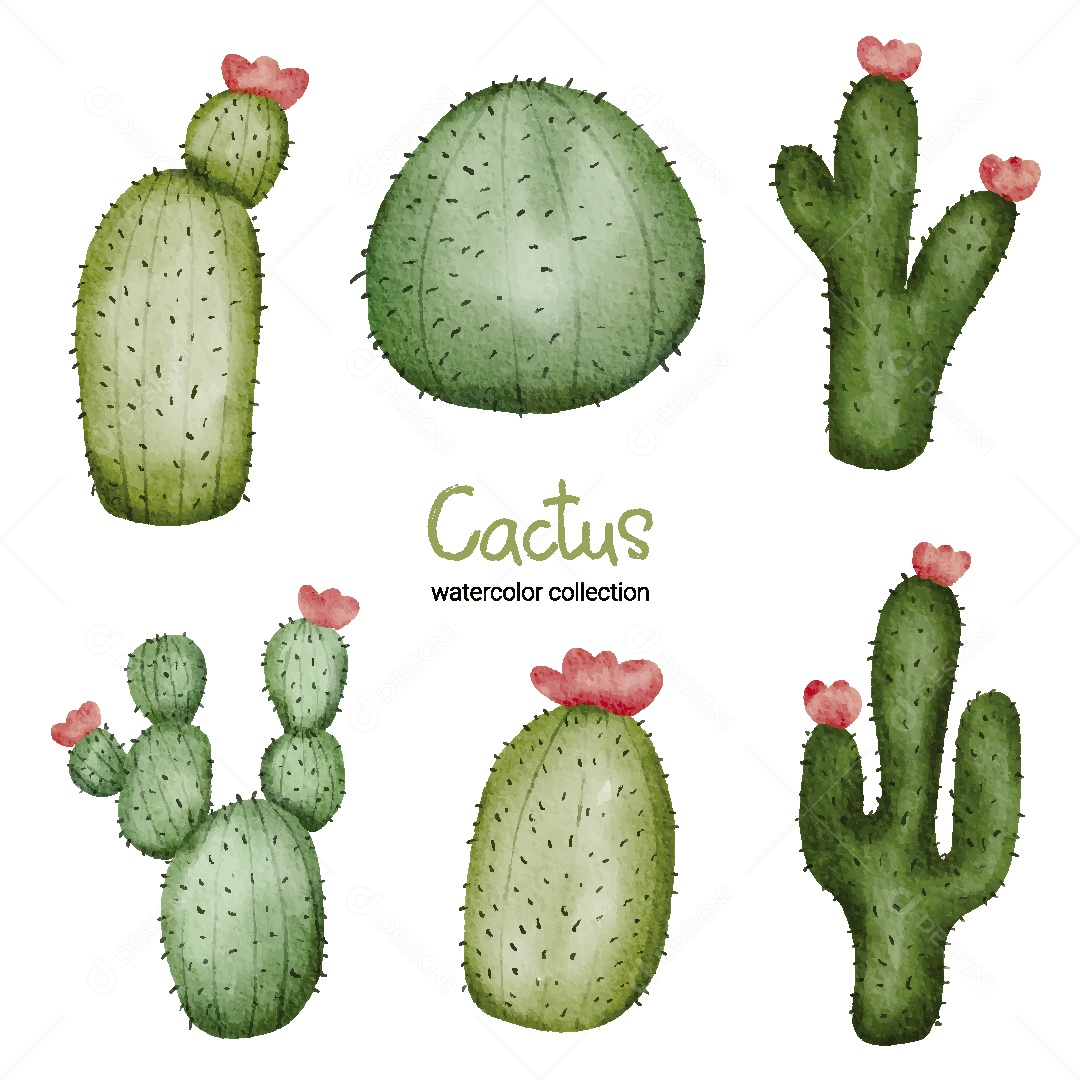 Coleção de Aquarela de Cactos Ilustração Vetor EPS