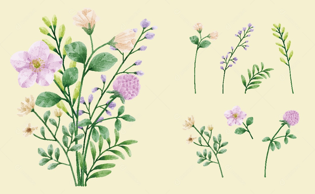 Conjunto de Flores Ilustrações Vetor EPS