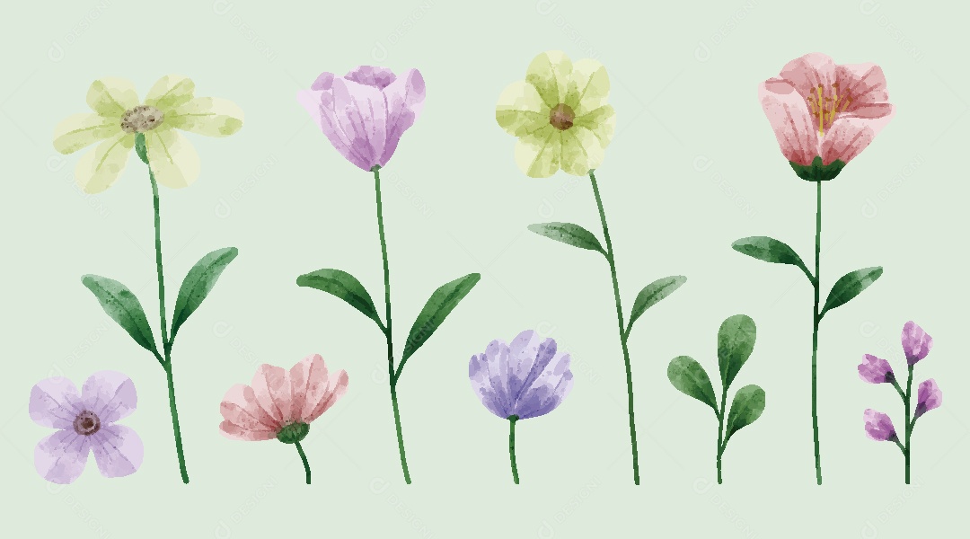 Conjunto de Flores Ilustrações Vetor EPS